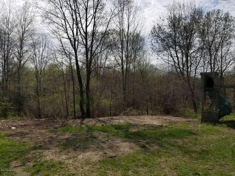 4524 N Backus Rd, Lakeview, MI 48850 photo 13