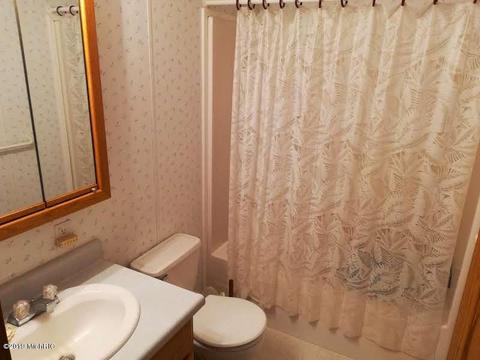 7607 E 5 Mile Rd, White Cloud, MI 49349 photo 38