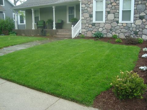 7137 Bronson St SE, Ada, MI 49301 photo 4