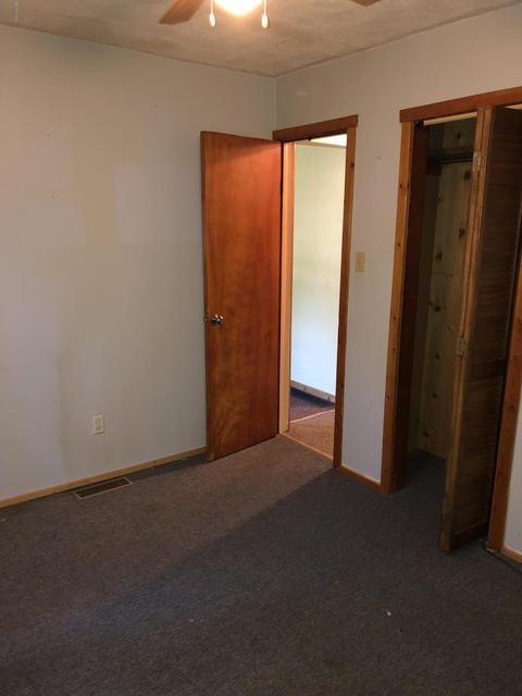 113 Carl Ave, Springfield, MI 49037 photo 11