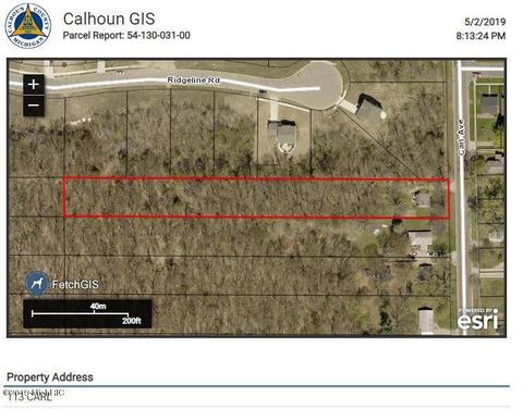 113 Carl Ave, Springfield, MI 49037 photo 15