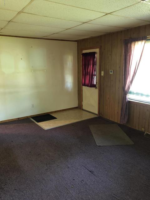 113 Carl Ave, Springfield, MI 49037 photo 4