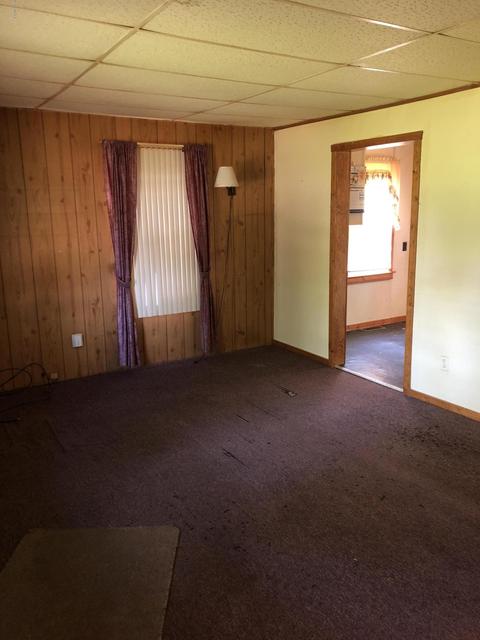 113 Carl Ave, Springfield, MI 49037 photo 3