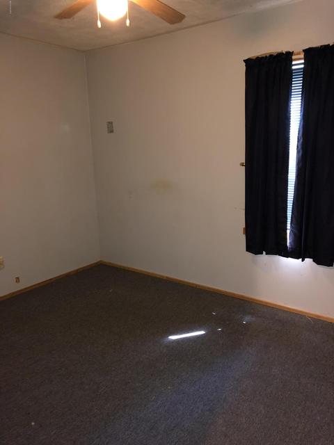 113 Carl Ave, Springfield, MI 49037 photo 10