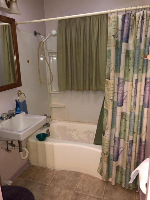 113 Carl Ave, Springfield, MI 49037 photo 12