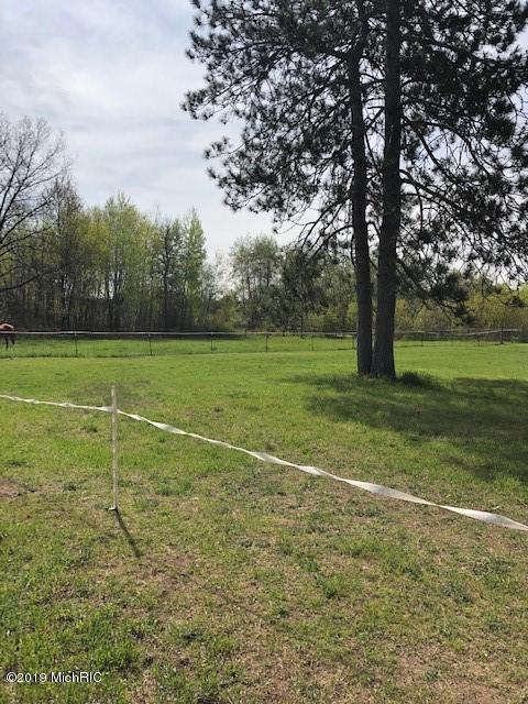 4217 E 1 Mile Rd, White Cloud, MI 49349 photo 20