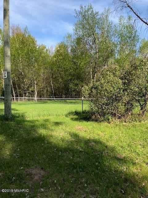 4217 E 1 Mile Rd, White Cloud, MI 49349 photo 22