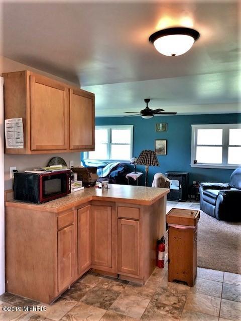 4217 E 1 Mile Rd, White Cloud, MI 49349 photo 6