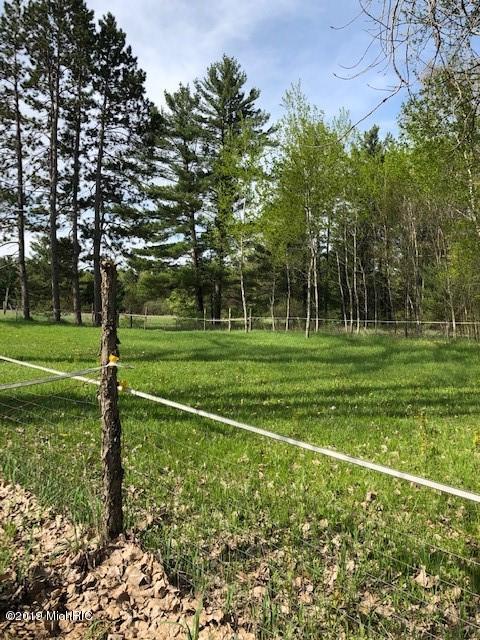 4217 E 1 Mile Rd, White Cloud, MI 49349 photo 24