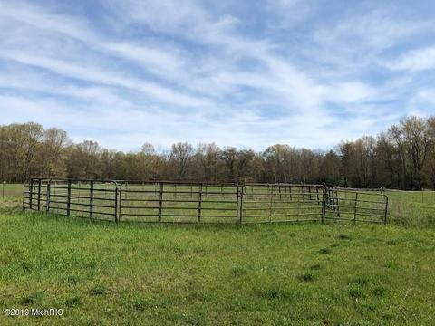 4217 E 1 Mile Rd, White Cloud, MI 49349 photo 16