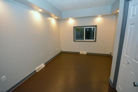 407 Beulah St, Belding, MI 48809 photo 4