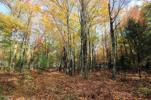 3667 E 7 Mile Rd, White Cloud, MI 49349 photo 66