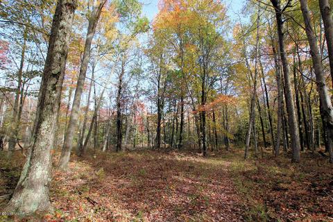 3667 E 7 Mile Rd, White Cloud, MI 49349 photo 62