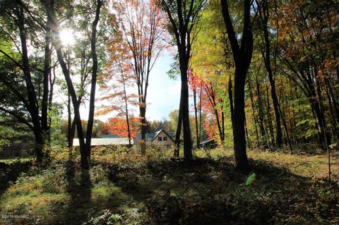 3667 E 7 Mile Rd, White Cloud, MI 49349 photo 69