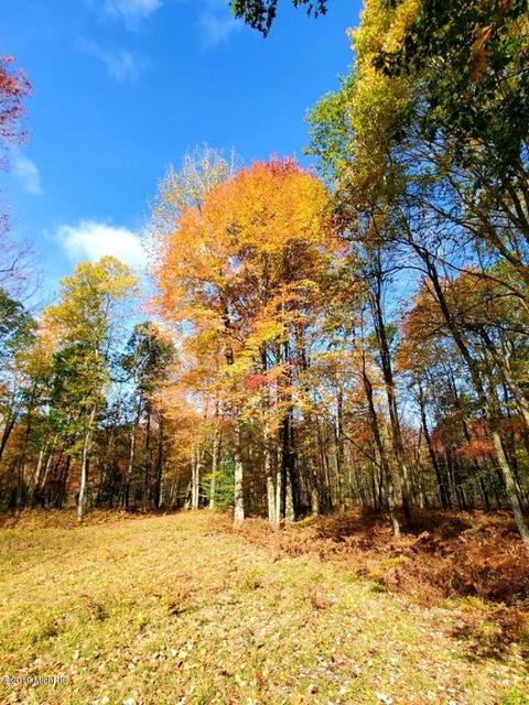 3667 E 7 Mile Rd, White Cloud, MI 49349 photo 49