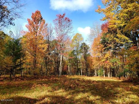 3667 E 7 Mile Rd, White Cloud, MI 49349 photo 48