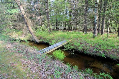 3667 E 7 Mile Rd, White Cloud, MI 49349 photo 27