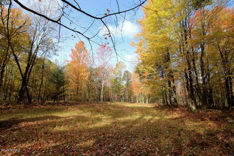 3667 E 7 Mile Rd, White Cloud, MI 49349 photo 61