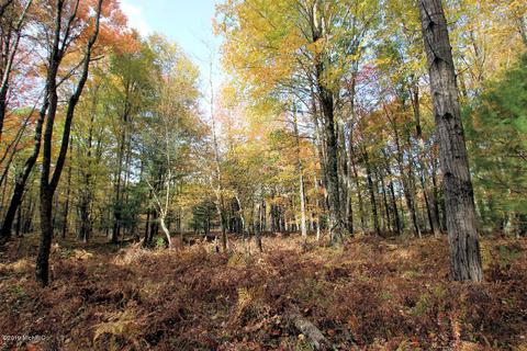 3667 E 7 Mile Rd, White Cloud, MI 49349 photo 60