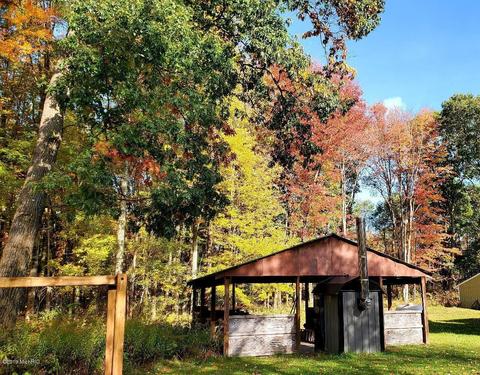 3667 E 7 Mile Rd, White Cloud, MI 49349 photo 52