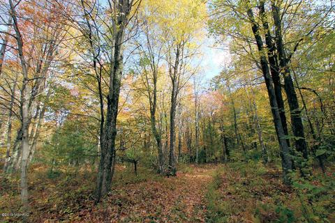 3667 E 7 Mile Rd, White Cloud, MI 49349 photo 65