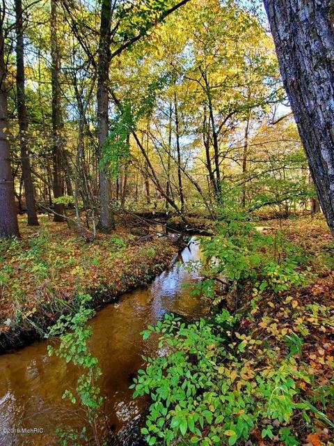 3667 E 7 Mile Rd, White Cloud, MI 49349 photo 47