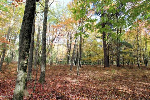 3667 E 7 Mile Rd, White Cloud, MI 49349 photo 67