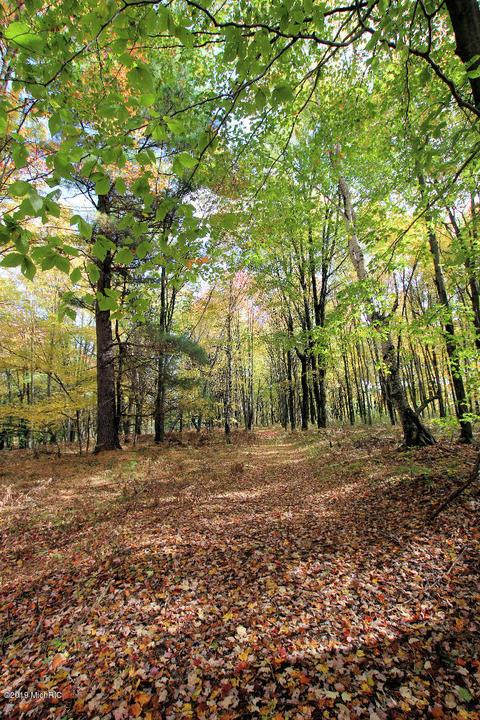 3667 E 7 Mile Rd, White Cloud, MI 49349 photo 68