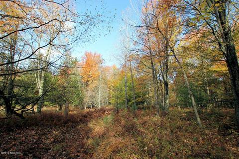 3667 E 7 Mile Rd, White Cloud, MI 49349 photo 64