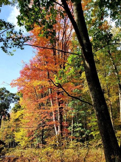 3667 E 7 Mile Rd, White Cloud, MI 49349 photo 51