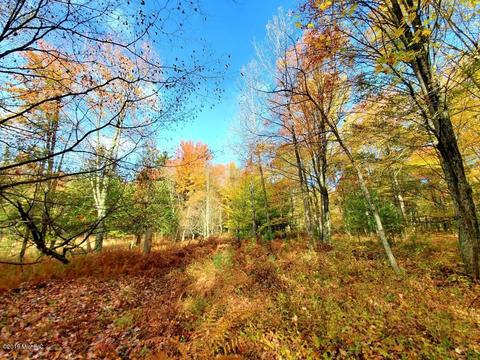 3667 E 7 Mile Rd, White Cloud, MI 49349 photo 50