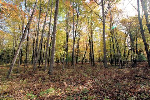 3667 E 7 Mile Rd, White Cloud, MI 49349 photo 63