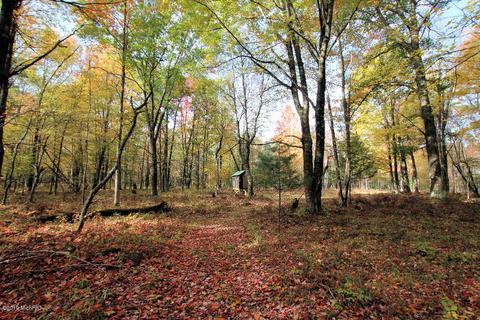 3667 E 7 Mile Rd, White Cloud, MI 49349 photo 55