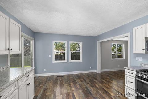 216 Vincent St, Belding, MI 48809 photo 10