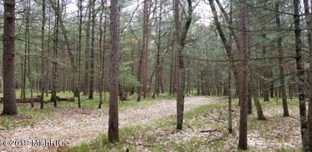 8173 S M-37, Baldwin, MI 49304 photo 34