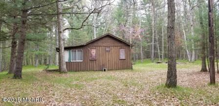 8173 S M-37, Baldwin, MI 49304 photo 24