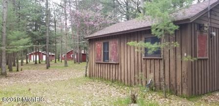 8173 S M-37, Baldwin, MI 49304 photo 33