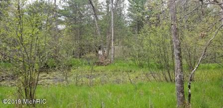8173 S M-37, Baldwin, MI 49304 photo 19
