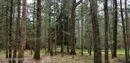 8173 S M-37, Baldwin, MI 49304 photo 35