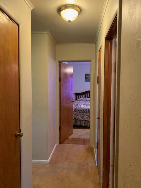 16443 Rynearson St, Buchanan, MI 49107 photo 33