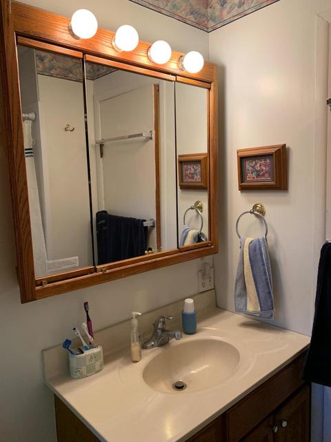 16443 Rynearson St, Buchanan, MI 49107 photo 34