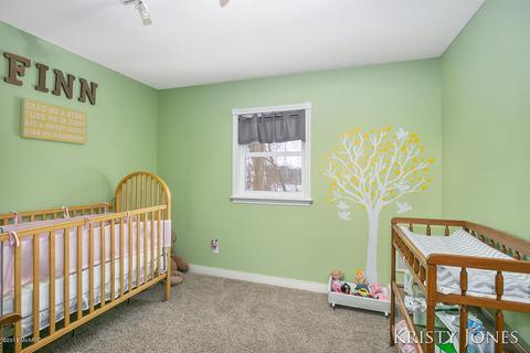 6224 Belding Rd, Belding, MI 48809 photo 20