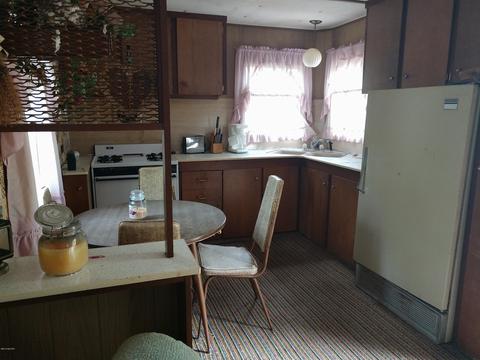 155 N Beech Rd, Walkerville, MI 49459 photo 8