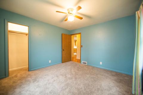 319 Hall St, Belding, MI 48809 photo 8