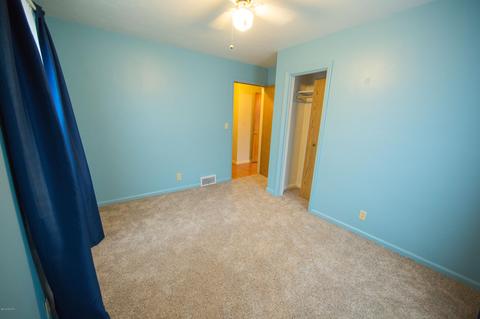 319 Hall St, Belding, MI 48809 photo 10
