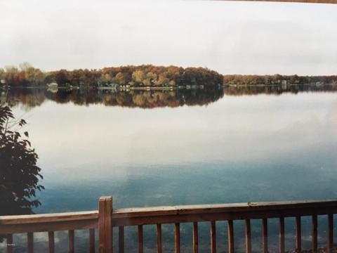 369 Pepper Ave, Mattawan, MI 49071 photo 38