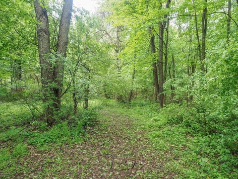 13485 Augusta Dr, Augusta, MI 49012 photo 20