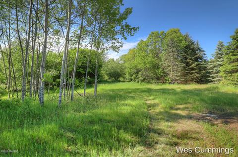 5228 Long Lake Rd, Belding, MI 48809 photo 22