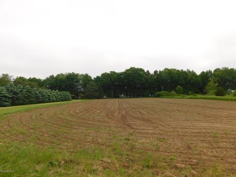 13410 E P Ave, Climax, MI 49034 photo 39