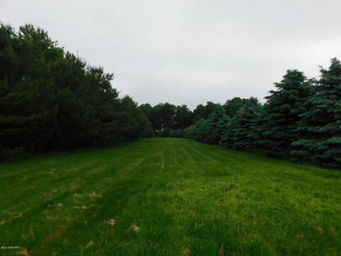 13410 E P Ave, Climax, MI 49034 photo 37